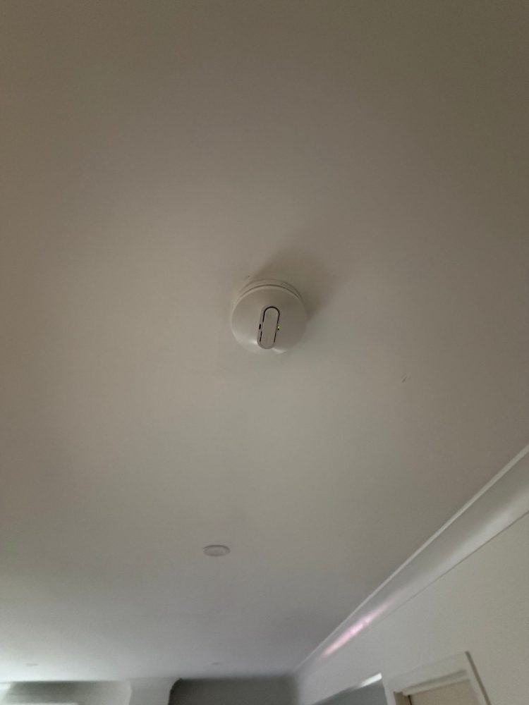 Interconnected smoke alarm on a unit ceiling